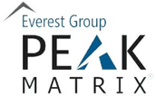 Everest Group PEAK Matrix