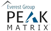 Everest Group PEAK Matrix